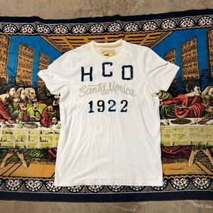 Hollister Santa Monica tshirt Size large surfwear preppy california y2k
